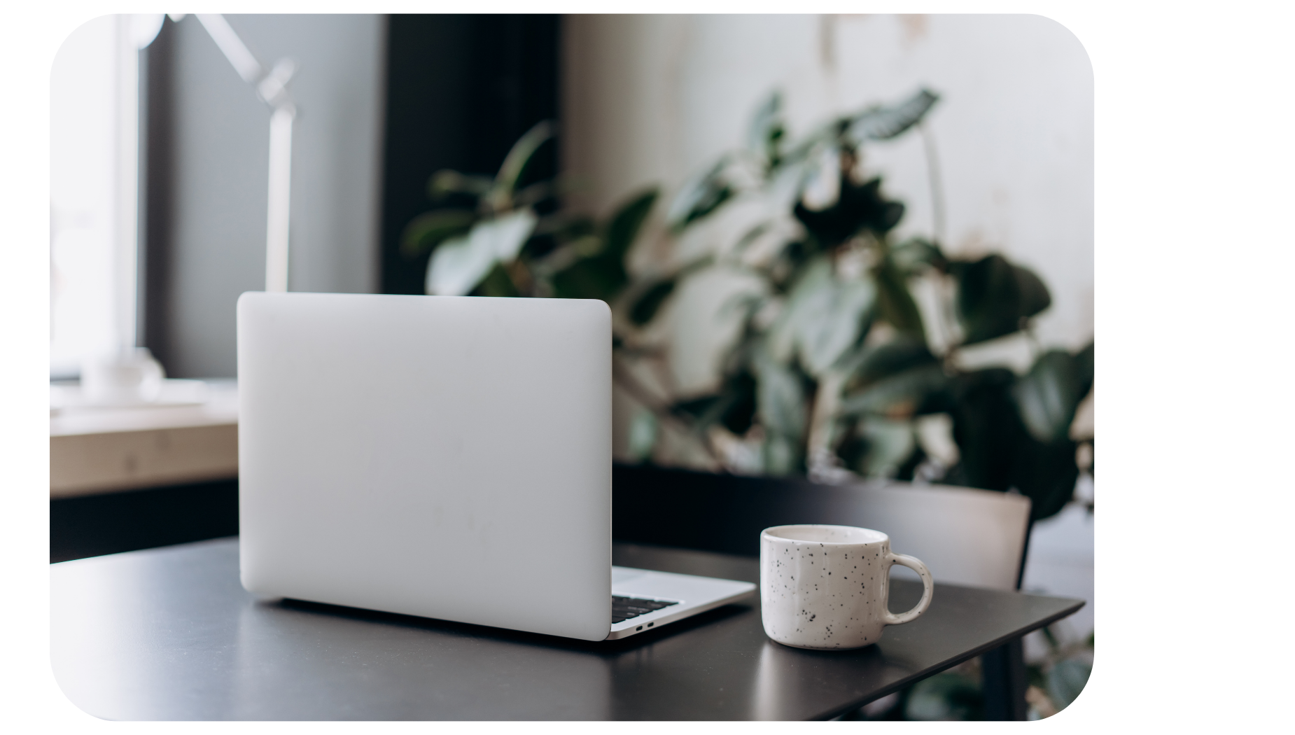 Copy of Homepage header (2)